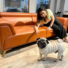 Load image into Gallery viewer, Bristol 3 Seater Sofa